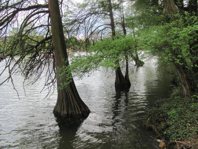 20120422 Kerékpártúra Szarvasra 2200